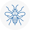 Bexleyheath Hornet Nest Removals