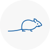 Mice Exterminators In Bexleyheath