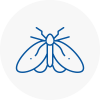 Moth Control Specialists In Bexleyheath