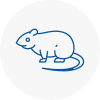 Rat Control Bexleyheath