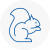 Bexleyheath Rodent Removals
